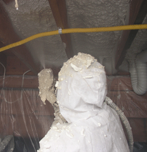 St. Petersburg FL crawl space insulation