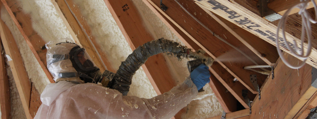 St. Petersburg Florida Attic Insulation Spray Foam
